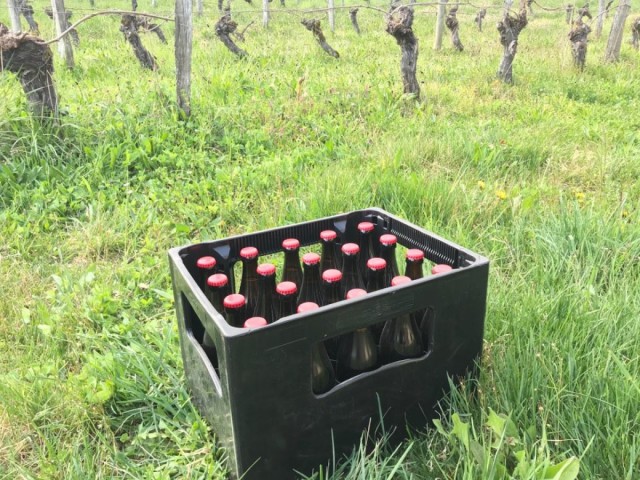 20 Bouteilles 50cl Blonde à la Pomme